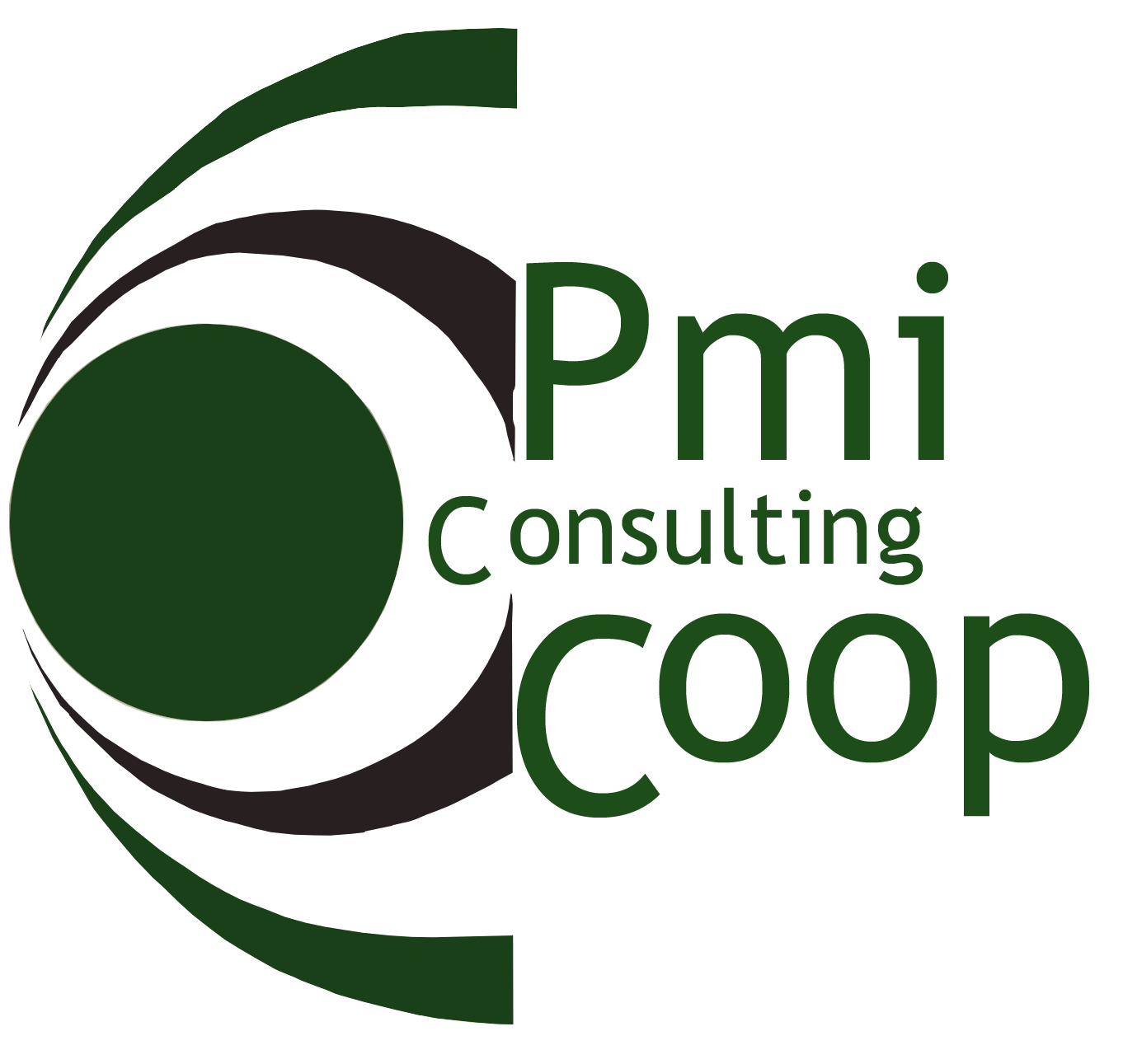PMI Consulting Coop