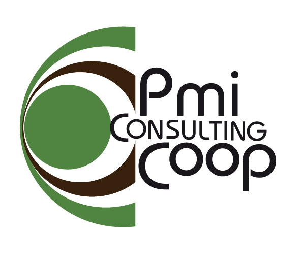 PMI Consulting Coop